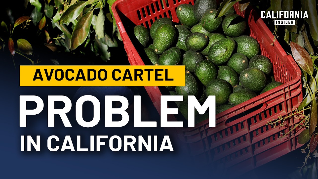 Is California's Avocado Industry Collapsing? | Gary Gragg | Katarina Szulc