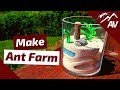 How to Build an Ant Farm | Compact Plaster Formicarium
