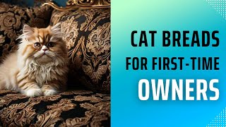 Top 9 Low Maintenance Cat Breeds for First-Time Owners