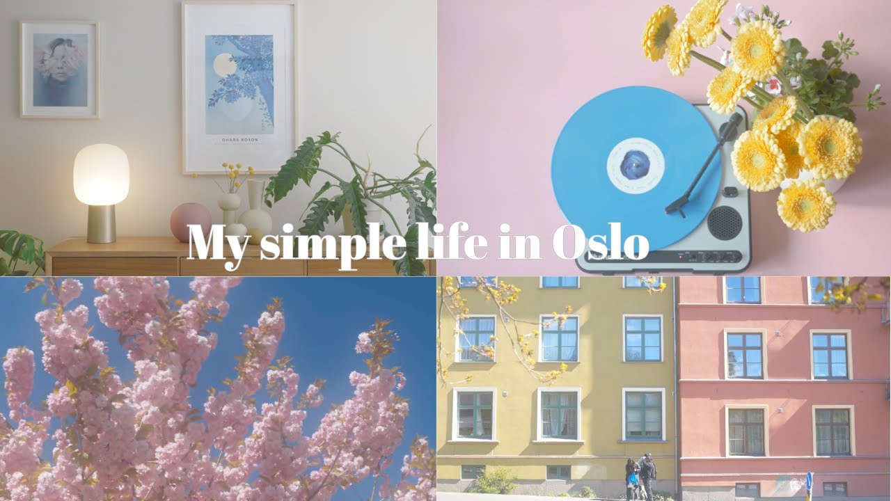 My quiet Scandinavian life | cherry blossom in the north | calming walk in the Norwegian woods