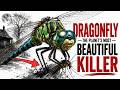 The Dragonfly Mystery: The Ultimate Backyard Mosquito Killer Never Misses a Kill