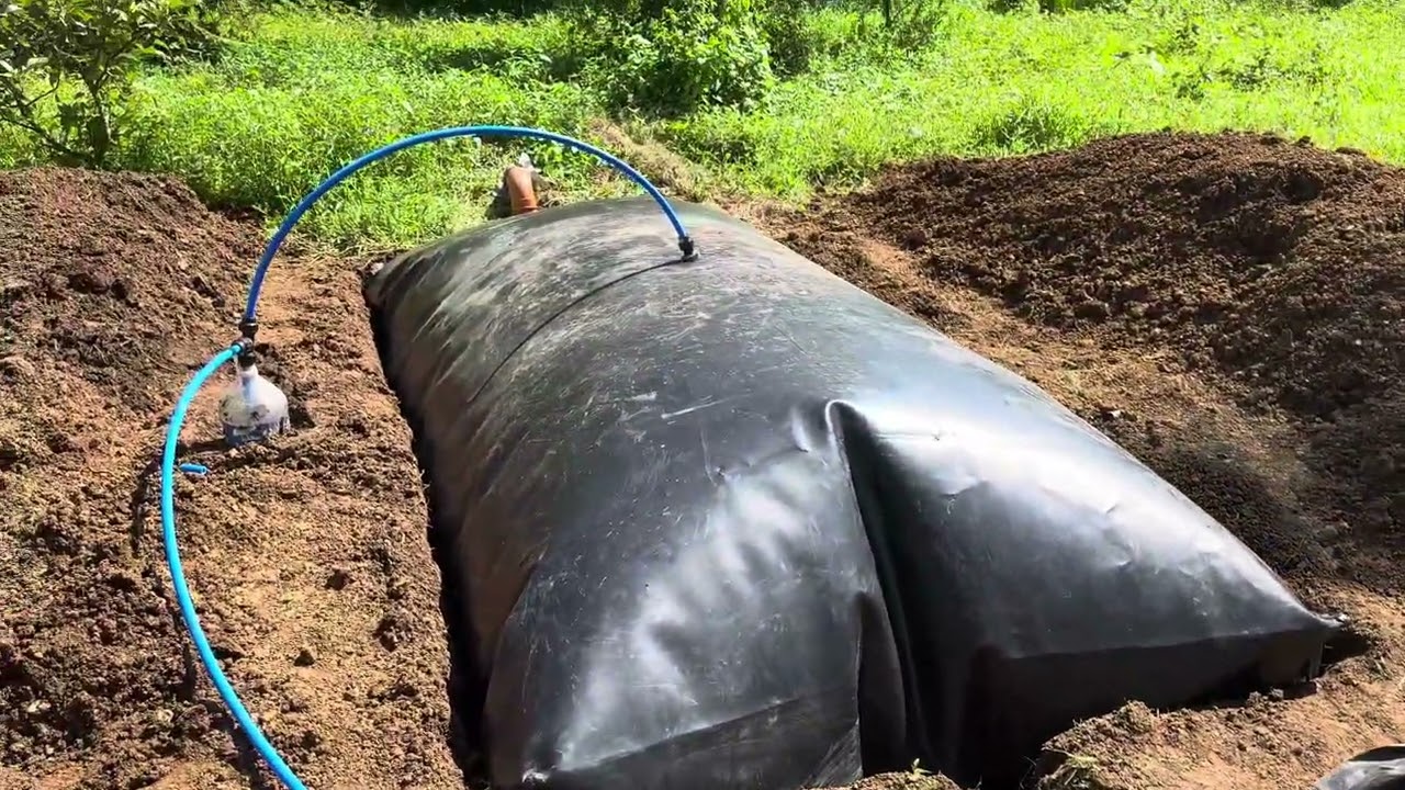 BIOGAS FROM DOG’s & CAT’s POOP