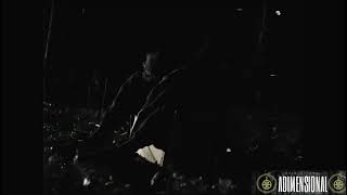 Adimensional - Paradoxvideo Clip