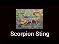 Scorpion Sting