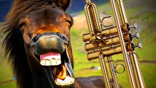 How to do the Horse Whinny from Sleigh Ride | Trumpet Lessons