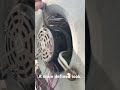 Blower wheel