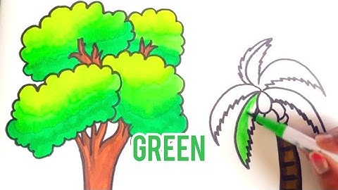 How to draw Trees | Coconut Tree | Banyan Tree |Easy Drawing | Kids Art