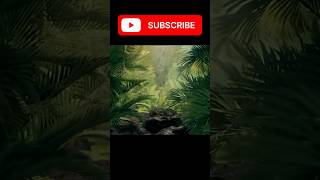 Best Loop Video | Not End video #shorts #viral #ytshorts #loop #nature #shortvideo #trending