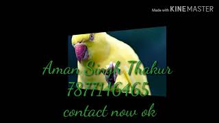 Download lagu Diggy diggy song new mixer remix song