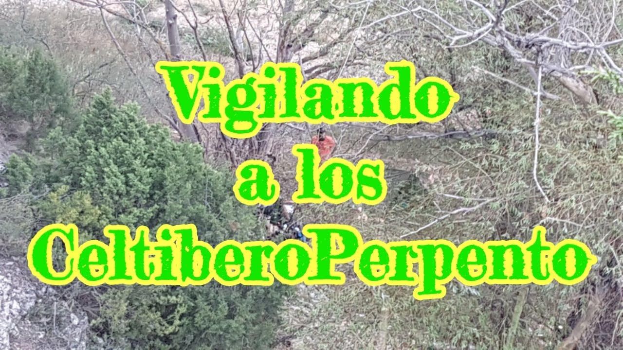 Vigilando a los CeltiberoPerpentos😎/#Yankee Adventure naturaleza definicion