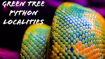Green Tree Python Localities