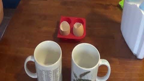 Millar Demos 4-9 Eggshell Geodes