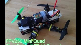 FPV250 Mini Quad - First Flight - Mobius - Sunset