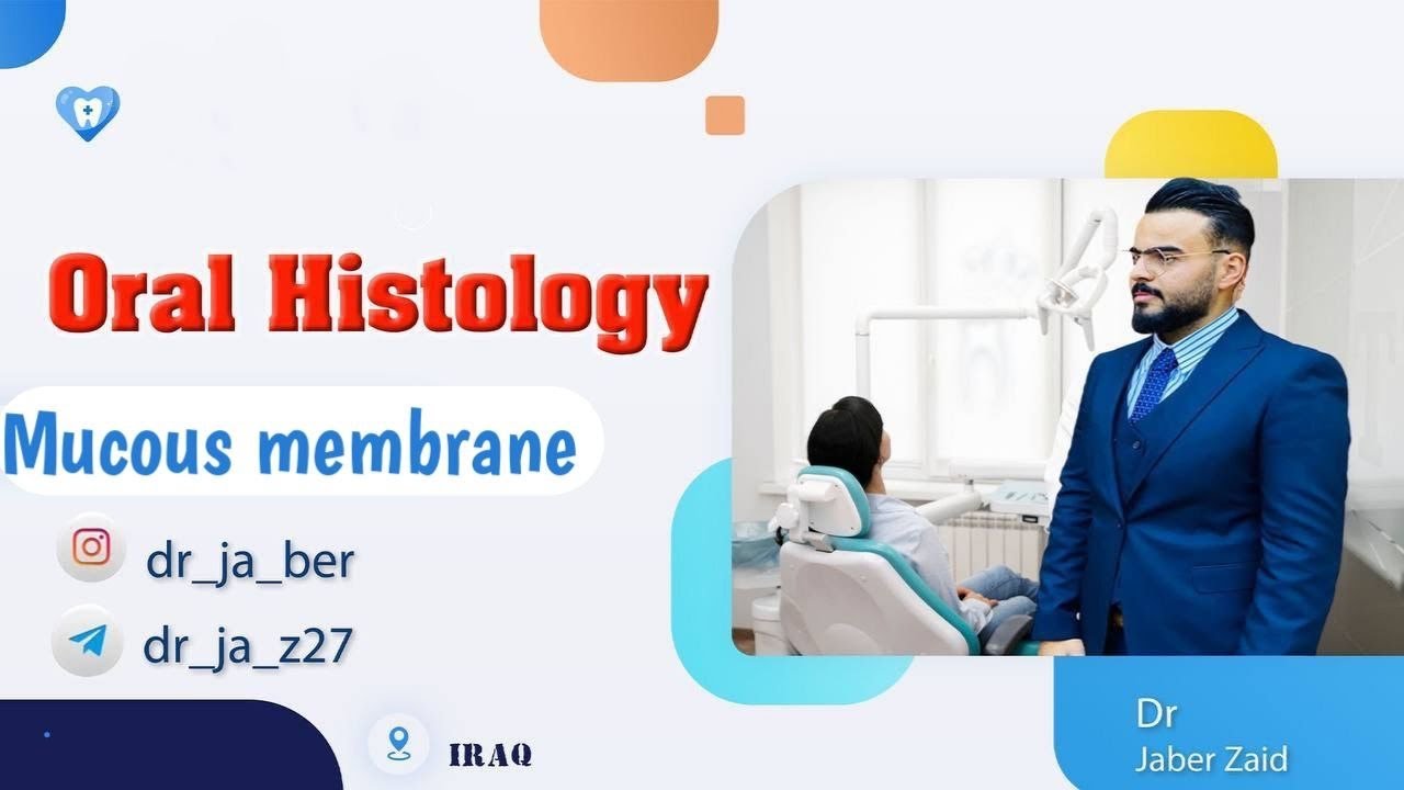Oral Histology _ ( Mucous Membrane part 1 )#محاضرات #جامعة #بغداد #طب #الأسنان