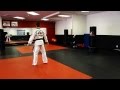 Songahm 1 full form  schafers ata martial arts