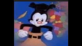 yakko has a stroke | 500 Subscriber Special!