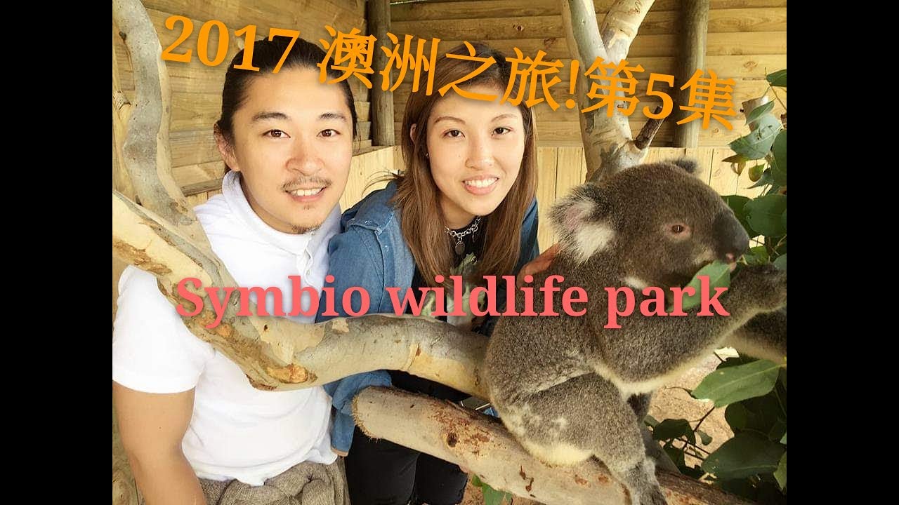 (Get your pet right) 澳洲之旅2017!Symbio wildlife park - YouTube