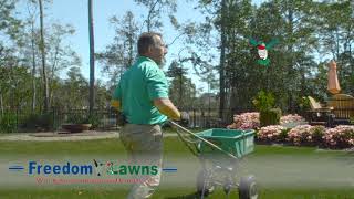 Freedom Lawns