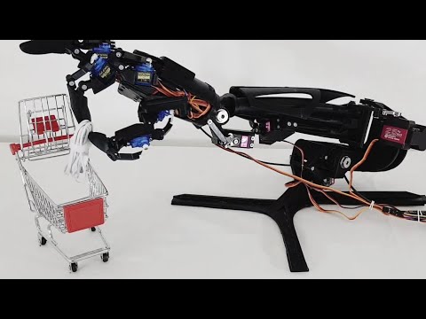 Youbionic Human Arm