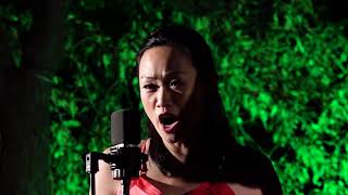 L'Orchestra Erasmus suona nella Valle dei Templi di Agrigento screenshot 5