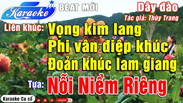 Karaoke Liên khúc Vọng Kim Lang (Dây Đào) | Nỗi Niềm Riêng (VKL-PVĐK-ĐKLG), Beat Hay - Karaoke Ca cổ