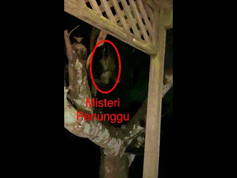 Video: Hantu Ladang