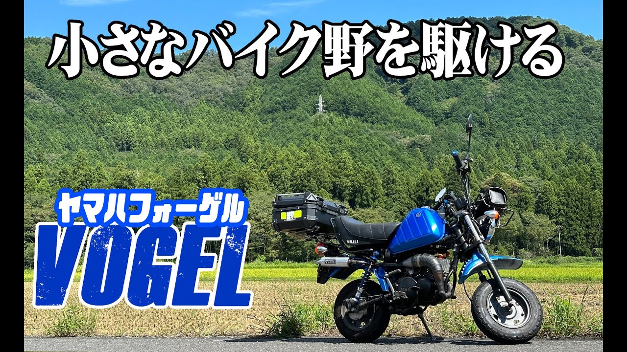 原2】ヤマハフォーゲルのピストンを交換したので夏の山里を徘徊してい