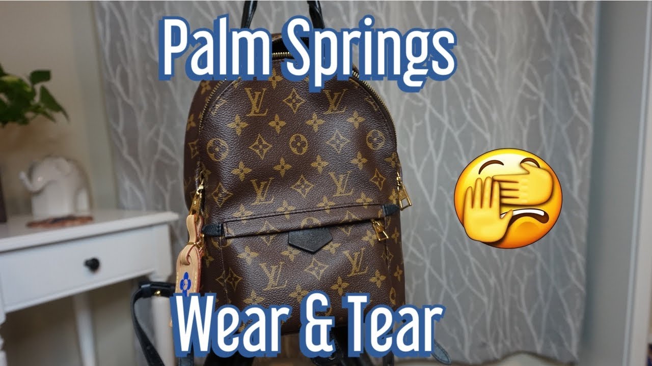 COMPARISON * NEW vs OLD zipper louis vuitton palm springs mini backpack //  what fits * review 