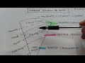 Internal structure of Earth quick revision 