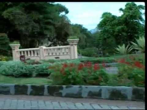 Kebunku - Lagu Anak Indonesia