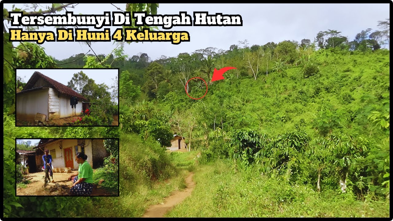 INI DIA Kehidupan Di Desa Terpencil Tengah Hutan Banyuwangi
