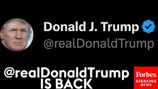 Trump Tweets For First Time Since Post-Jan 6 Ban—This Is What He Said (And Yes, It Involves Mugshot)