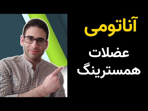 تصویری: کدام ماهیچه پا را خم می کند؟