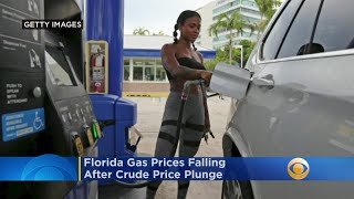 AAA: Florida Gas Prices Falling After Crude Price Plunge