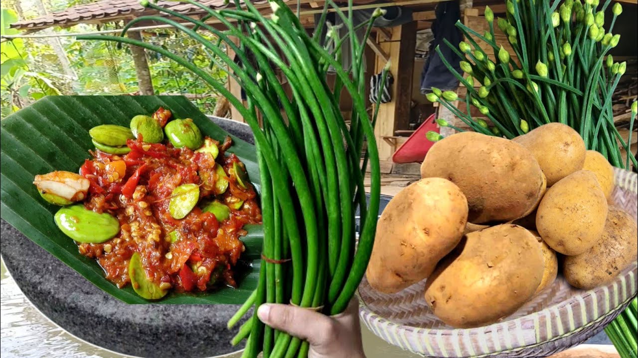 Video terbaru; masak kentang mix bunga oncang dicowel sambal pete teri