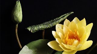 ABC TV | How To Make Water Lily Paper Flower From Crepe Paper - Craft Tutorial