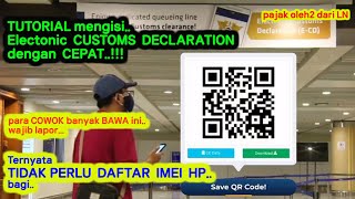 HOW TO QUICKLY FILL OUT THE ELECTRONIC CUSTOMS DECLARATION | FILLING OUT THE INDONESIAN E-CD