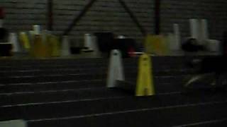 Dogbook Movie: Storm at Flyball Practice