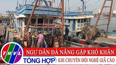 Ngư dân Quảng Ngãi gặp khó khi chuyển đổi nghề giã cào