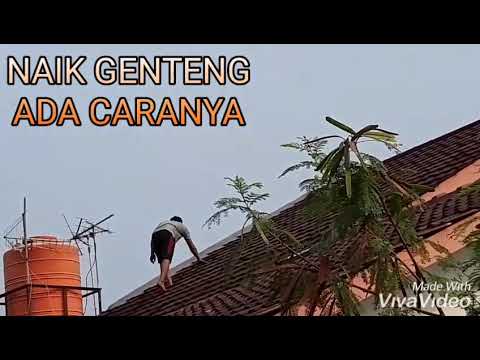 Video: Bolehkah anda berjalan di atas bumbung gentian kaca?