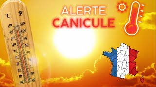 Météo : les canicules persistent en France, plusieurs départements sont en alertes orange et jaune