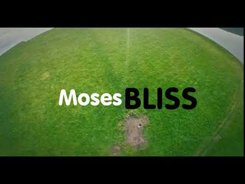 Moses Bliss- Count on Me lyric Video
