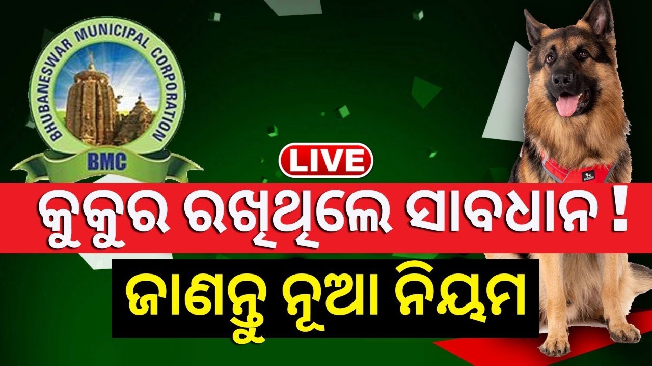 Live କୁକୁର ରଖୁଥିଲେ ସାବଧାନ ! BMC ଆଣିଲା ନୂଆ ନିୟମ BMC New Guideline For