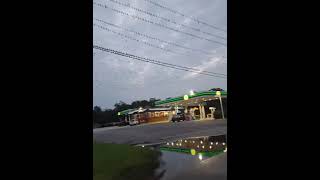 September 18, 2020 A thousand birds in Perry, GA
