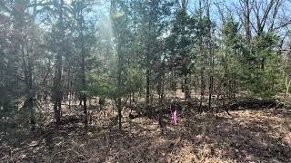 0.3 Acres in Izard, Arkansas – Near Crown Lake with Easy Owner Financing!