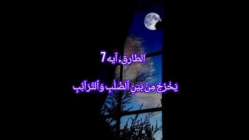 سورة الطارق | قاری عبدالمالک نوری
