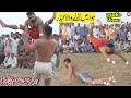 New small bijli kabaddi  kabaddi di duniya