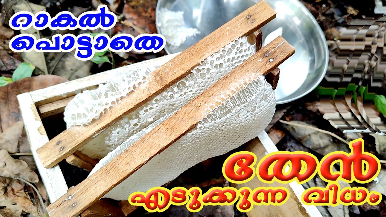 തേനട പൊട്ടാതെ തേനെടുക്കാം.