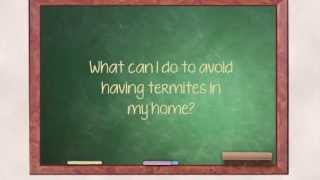 Tips to Prevent Termite Infestation | Ask The Expert | Alford Home Solutions. Profile