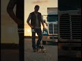 The Dog Ate My Bookkeeping #trucking #taxtime